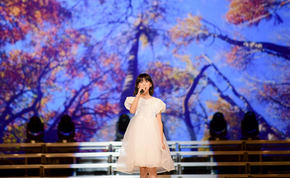 4雨花石.jpg